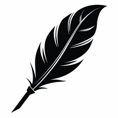 Fototapeta premium Elegant quill feather reveals refined texture and form in a classic black silhouette
