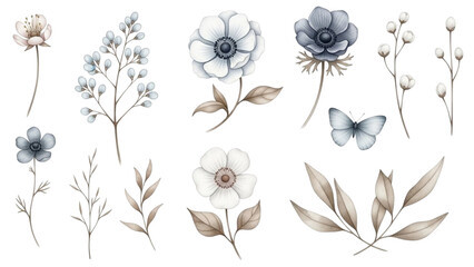 Collection of delicate watercolor anemone flower and botanical element illustrations isolated on transparent background for elegant design