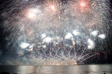 The Most Spectacular Fireworks Festival,Capturing the Magic of the 2025 Firework Extravaganza