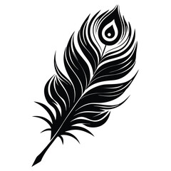 Elegant peacock feather with an eyeshaped pattern exhibits striking details in black and white