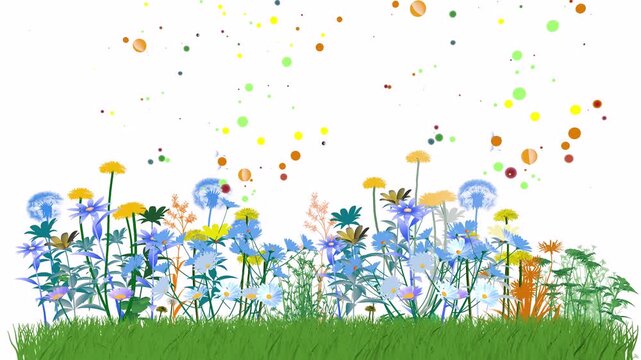 3D animation of flowers, plants, pollen, and dandelion seeds moving, triggering spring allergies. On a grassy lawn. Front view with bright colors on a white background.