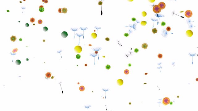 3D animation of various pollen floating in the air, triggering spring allergies. With dandelion pinwheels flying. Graphic style with flat colors on a white background.
