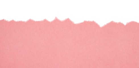 pink torn or ripped paper isolated on transparent png background,realistic torn cardboard paper edges,torn or ripped pink paper frame,design decoration,pink torn paper background