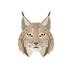 2D flat vector illustration of Lynx, designed in a clean icon style and isolated on a white background.