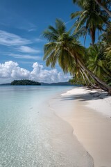 Fototapeta premium Palm Tree on Sandy Beach