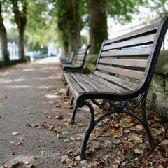 Empty park bench along a tree-lined pathway.