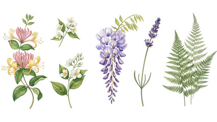 Floral elements collection, watercolor flower set