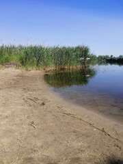 vertical photo. sandy beach along edge of lake with clear water. shoreline offers mix of sand and grass. beautiful lake surrounded by green grasses and plants. water is calm.