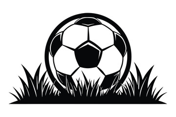 Obraz premium Black and white soccer ball rests in a patch of grassy field image