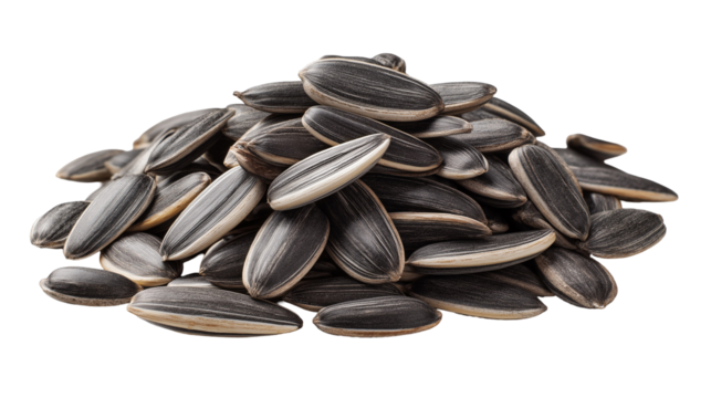 A close up shot of a pile of sunflower seeds with a black background showing the seed textures
