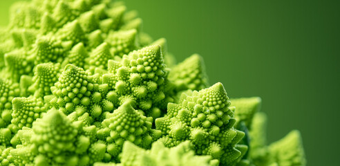 Romanesco broccoli cabbage or Roman Cauliflower abstract texture on green background, macro shot....