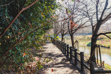Japanese city atmosphere during autumn in Ibaraki Prefecture