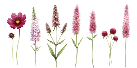 Vibrant watercolor floral collection with diverse pink and purple botanical illustrations.