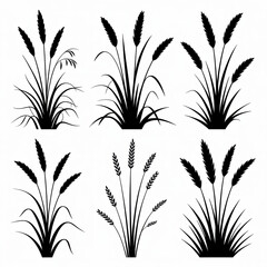 A collection of six distinct silhouette illustrations of stylized grasses and wheat stalks, arranged in two rows of three. 