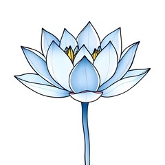 lotus flower on white background