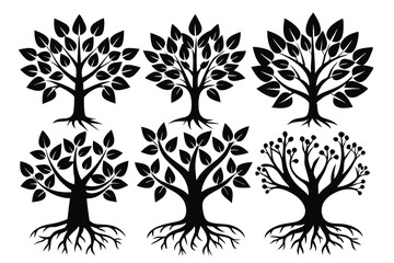 Obraz premium Different stylized tree icons feature various foliage patterns, root structures and branch formations