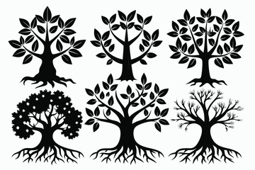 Fototapeta premium Six different style deciduous trees display unique foliage and branching patterns in black silhouettes