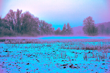 Mist strands over a snow-covered clearing during winter