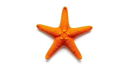 Bright orange starfish isolated on white background perfect for summer themes
