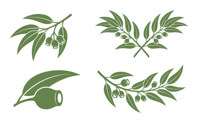 Set of eucalyptus branches with leaves and gumnuts, illustrating botanical elements for natural designs and decorations