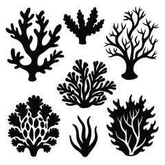 Several black coral silhouette designs are displayed beautifully against the stark white background today