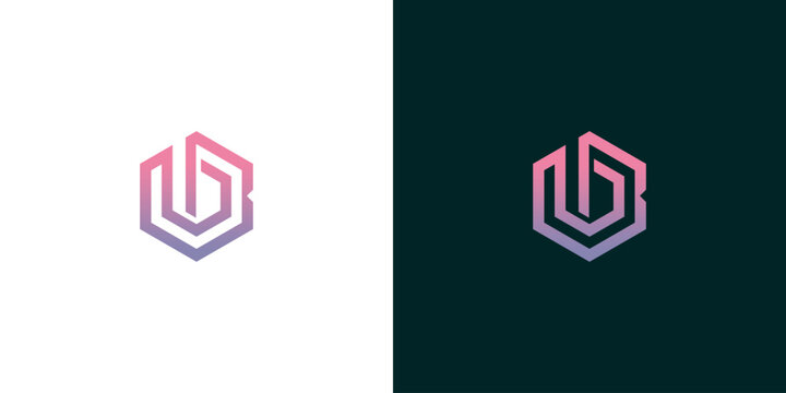 Elegant Initial Letter B Logo Design in Hexagonal Shape, Suitable for Business and Branding Purposes