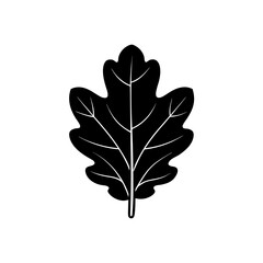 Oak leaf silhouette icon with detailed veins on white background