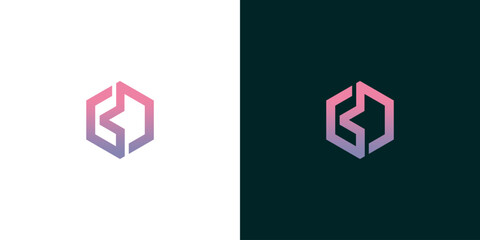 Modern Hexagon Logo Design Elegant Branding for Business and Technology on a Light and Dark Background