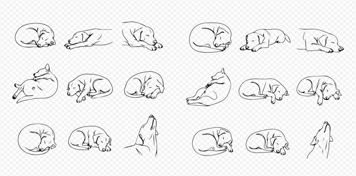 Set of hand-drawn line art illustrations depicting dogs in various sleeping and resting positions, including one howling.