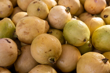 shot with selective focus. Fresh ripe guavas.