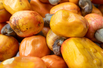 Tropical cashew fruits at the market