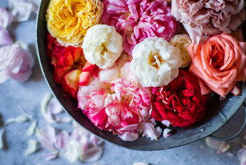 Fototapete bei efototapeten.de bestellen   