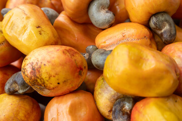 Tropical cashew fruits at the market