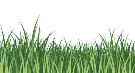 Fototapeta premium Lush, fresh green grass blades create a vibrant natural border against a bright white background, ideal for spring and nature themes.
