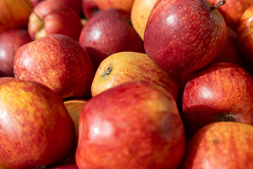 Pile of fresh ripe red and yellow apples in bulk at a local farmer's market or grocery store display