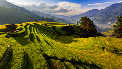 rice terraces in Mu Cang Chai, Vietnam