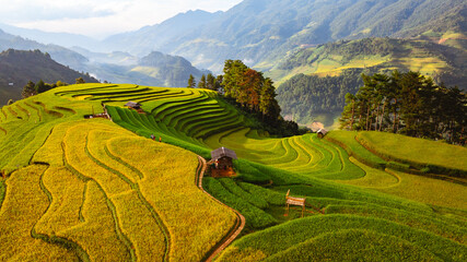 rice terraces in Mu Cang Chai, Vietnam