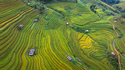 rice terraces in Mu Cang Chai, Vietnam