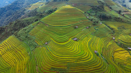 rice terraces in Mu Cang Chai, Vietnam