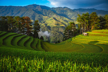 rice terraces in Mu Cang Chai, Vietnam