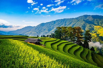 rice terraces in Mu Cang Chai, Vietnam