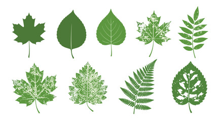 A detailed collection of green leaves in different shapes and textures, showcasing the variety of nature's foliage with a graphic style.