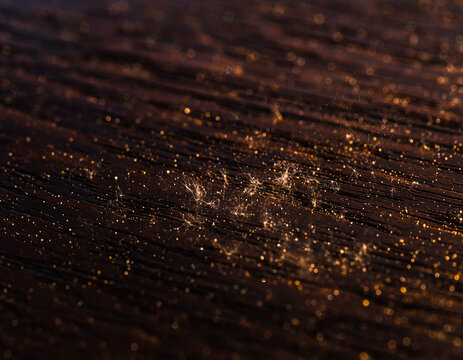 Warm textured surface with delicate filaments and bokeh lights. Evokes a sense of mystery, depth, and intricate beauty. Suitable for backgrounds, textures, or abstract concepts.