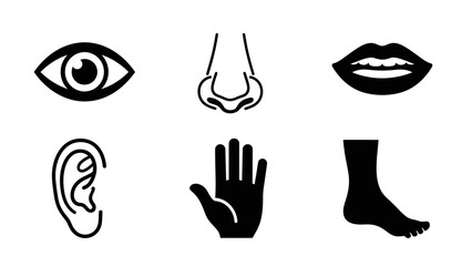 Collection of body parts icons: eye, nose, mouth, ear, hand, foot.