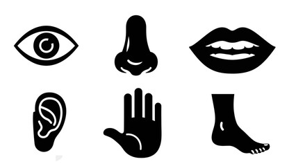Illustration of human senses: sight, smell, taste, hearing, touch, and balance.