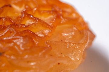 An extreme macro photograph revealing the complex, multi-layered surface of a grape seed, characterized by deep, waxy, translucent folds and convolutions in amber and yellowish-brown