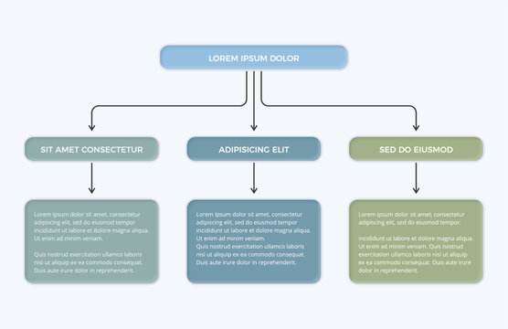 Hierarchical flowchart infographic showing one main element branching into three categories with text boxes