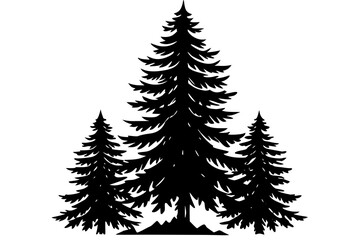 Obraz premium Black silhouette of three pine trees on white background evergreen