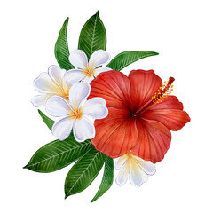 Watercolor tropical composition with red hibiscus, white plumeria flowers and green leaves on white background. Decorative floral element for wedding invitations, summer cards, packaging, and prints.