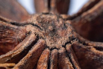 An extreme close-up macro photograph of a dried, deep reddish-brown Star Anise fruit, emphasizing the radially symmetrical structure formed by its woody, boat-shaped fo